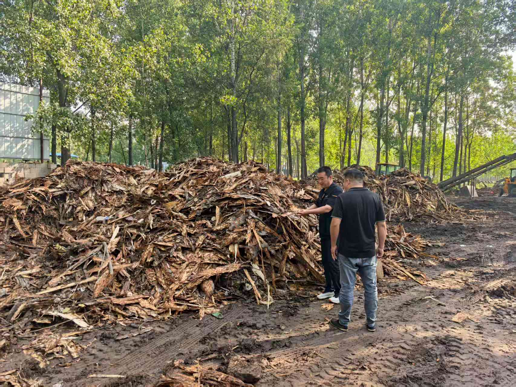 壹定发·(EDF)最新官方网站