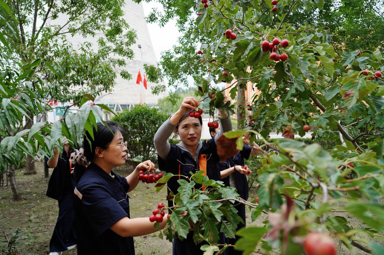 壹定发·(EDF)最新官方网站